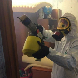 Уничтожение клопов в квартире. Мелеуз